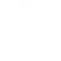 fast icon